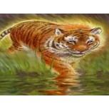 TIGRE
