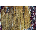 &Aacute;urea sub (9)