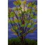 Arbol de la Pradera.