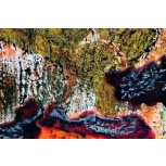 &Aacute;urea sub (4)