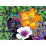 FLOWERS 1V