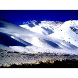 Penitentes
