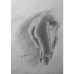 desnudandose