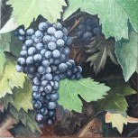 Aromas de frutos rojos