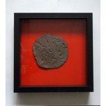 COMO EL TORNILLO, EL GUSANO (INSPIRACION NATURAL)