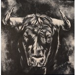Toro VII