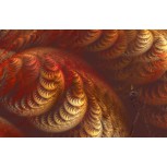GATO EN FRACTAL