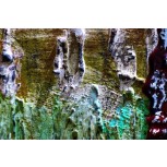 Terra sub dos (7)