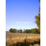 Paisaje 2009