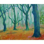 árboles en la niebla