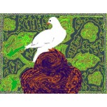 LA PALOMA SOBRE LA JAULA