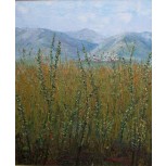 Paisaje con pueblo