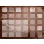 Escrito sobre el cuerpo 13
