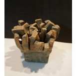 CRECIMIENTO DE UN ARBOL PÉTREO