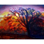 arbol en semisombra