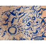 Peces Koi