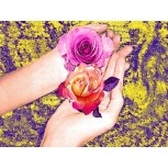 MANOS DE ROSAS