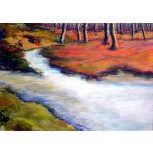 confluencia de arroyos