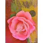 Rosa 3