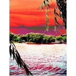 Paidaje de color