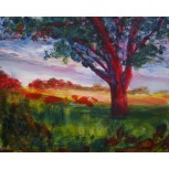 atardecer con árbol