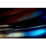 DE FLECTIS (10)