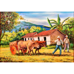 casa campesina Costa Rica 