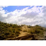 Potrerillo paisaje 6
