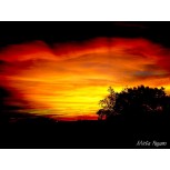 Labios de cielo