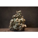 MULTITUD MINÚSCULA  EN EL MUSGO