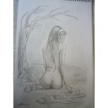 bonita