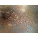 andromeda
