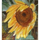GIRASOL MELOSO
