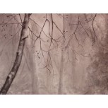 Bosque en brumas