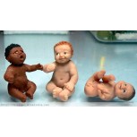 Bebés