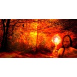 Paracelsus Land IV