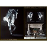 caballo danza