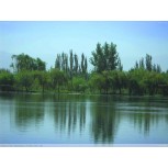 Paisaje Narural 1