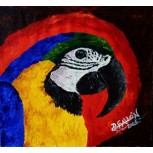guacamaya azul