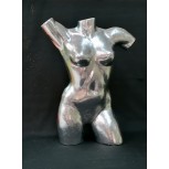 ''TIN WOMAN SERIES''