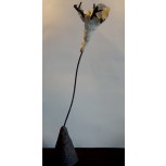 FLOR DE ESTAMBRES HUMANOS