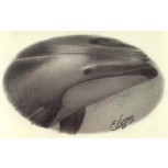 Ballena