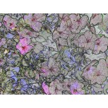 Flores petrificadas bajo la lluvia / Petrified flowers under the rain
