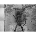ventana