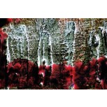 Terra sub dos (4)
