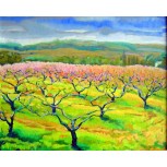 melocotoneros en flor