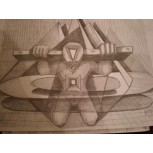 EQUILIBRIO FORZADO
