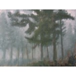 Arboles en la niebla 2