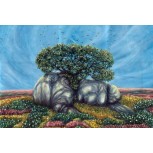 ARBOL Y ROCAS