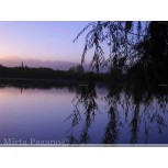 Mendoza atardecer